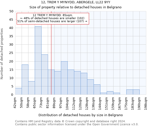 12, TREM Y MYNYDD, ABERGELE, LL22 9YY: Size of property relative to detached houses in Belgrano