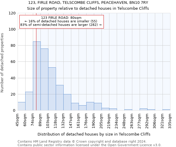 123, FIRLE ROAD, TELSCOMBE CLIFFS, PEACEHAVEN, BN10 7RY: Size of property relative to detached houses in Telscombe Cliffs