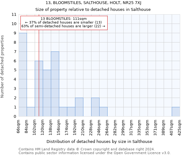 13, BLOOMSTILES, SALTHOUSE, HOLT, NR25 7XJ: Size of property relative to detached houses in Salthouse