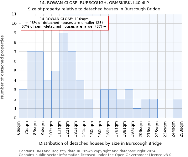 14, ROWAN CLOSE, BURSCOUGH, ORMSKIRK, L40 4LP: Size of property relative to detached houses in Burscough Bridge