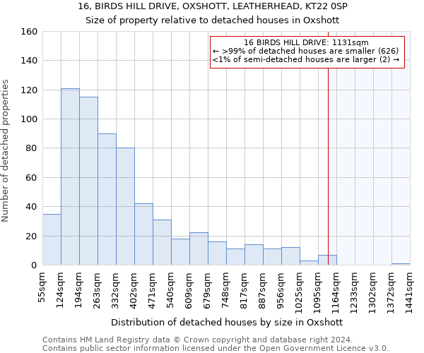 16, BIRDS HILL DRIVE, OXSHOTT, LEATHERHEAD, KT22 0SP: Size of property relative to detached houses in Oxshott