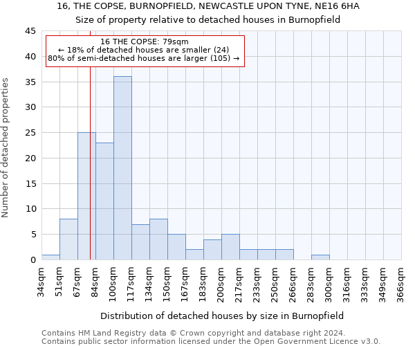 16, THE COPSE, BURNOPFIELD, NEWCASTLE UPON TYNE, NE16 6HA: Size of property relative to detached houses in Burnopfield