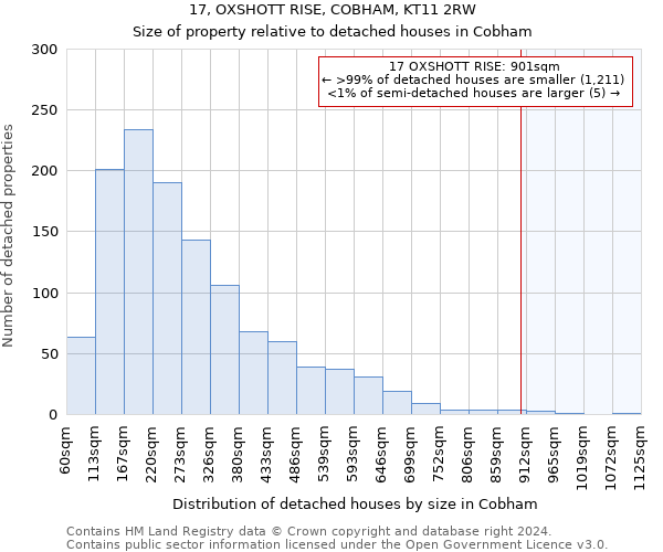 17, OXSHOTT RISE, COBHAM, KT11 2RW: Size of property relative to detached houses in Cobham