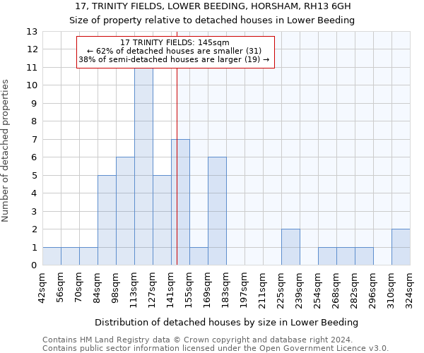 17, TRINITY FIELDS, LOWER BEEDING, HORSHAM, RH13 6GH: Size of property relative to detached houses in Lower Beeding