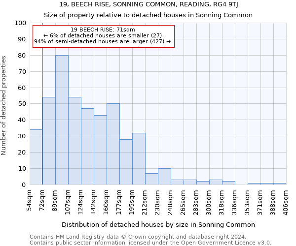 19, BEECH RISE, SONNING COMMON, READING, RG4 9TJ: Size of property relative to detached houses in Sonning Common