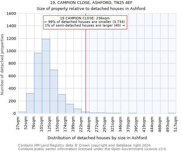 19, CAMPION CLOSE, ASHFORD, TN25 4EF: Size of property relative to detached houses in Ashford