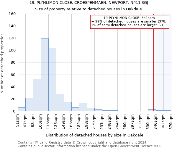 19, PLYNLIMON CLOSE, CROESPENMAEN, NEWPORT, NP11 3GJ: Size of property relative to detached houses in Oakdale