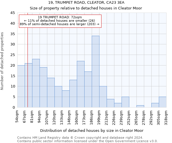 19, TRUMPET ROAD, CLEATOR, CA23 3EA: Size of property relative to detached houses in Cleator Moor