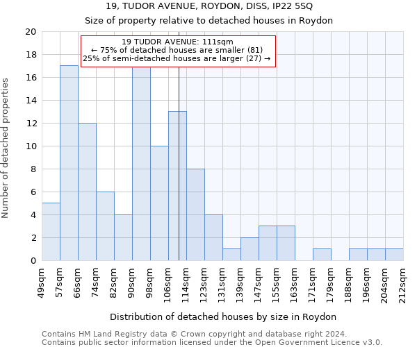 19, TUDOR AVENUE, ROYDON, DISS, IP22 5SQ: Size of property relative to detached houses in Roydon