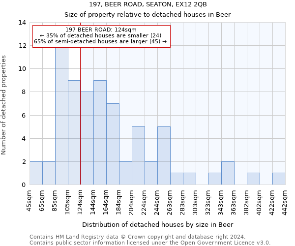 197, BEER ROAD, SEATON, EX12 2QB: Size of property relative to detached houses in Beer