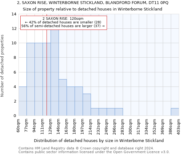 2, SAXON RISE, WINTERBORNE STICKLAND, BLANDFORD FORUM, DT11 0PQ: Size of property relative to detached houses in Winterborne Stickland