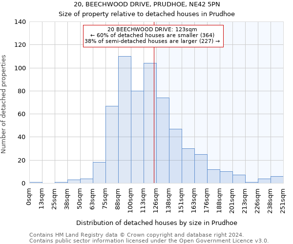 20, BEECHWOOD DRIVE, PRUDHOE, NE42 5PN: Size of property relative to detached houses in Prudhoe