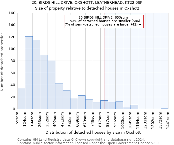 20, BIRDS HILL DRIVE, OXSHOTT, LEATHERHEAD, KT22 0SP: Size of property relative to detached houses in Oxshott