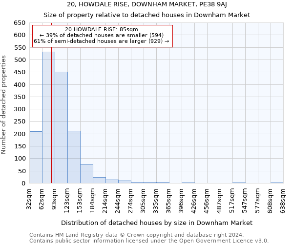 20, HOWDALE RISE, DOWNHAM MARKET, PE38 9AJ: Size of property relative to detached houses in Downham Market