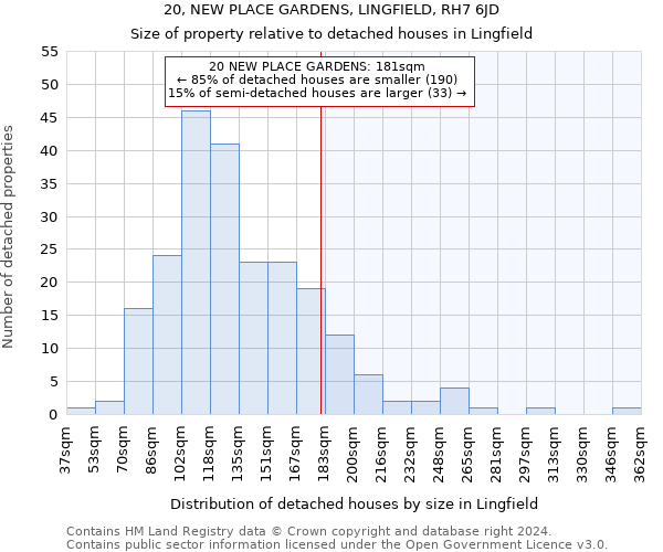 20, NEW PLACE GARDENS, LINGFIELD, RH7 6JD: Size of property relative to detached houses in Lingfield