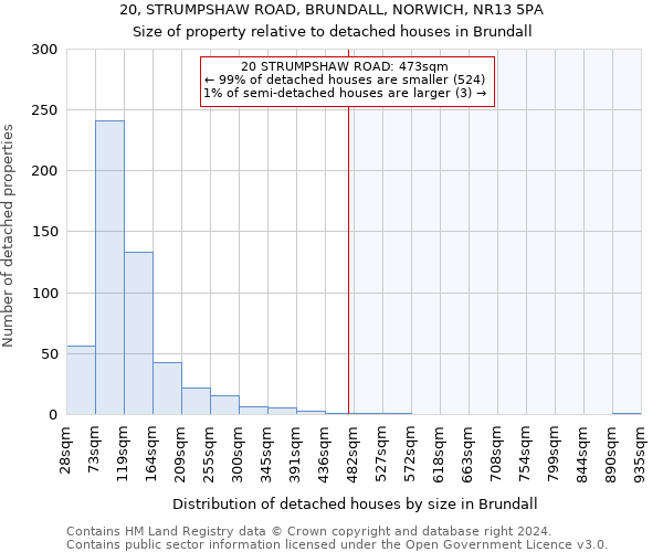 20, STRUMPSHAW ROAD, BRUNDALL, NORWICH, NR13 5PA: Size of property relative to detached houses in Brundall