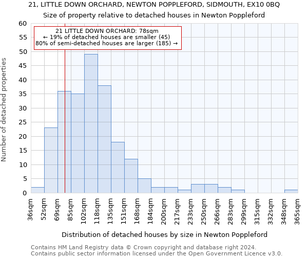 21, LITTLE DOWN ORCHARD, NEWTON POPPLEFORD, SIDMOUTH, EX10 0BQ: Size of property relative to detached houses in Newton Poppleford