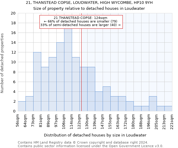 21, THANSTEAD COPSE, LOUDWATER, HIGH WYCOMBE, HP10 9YH: Size of property relative to detached houses in Loudwater