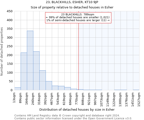 23, BLACKHILLS, ESHER, KT10 9JP: Size of property relative to detached houses in Esher