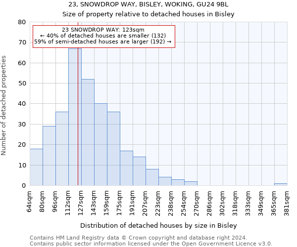 23, SNOWDROP WAY, BISLEY, WOKING, GU24 9BL: Size of property relative to detached houses in Bisley