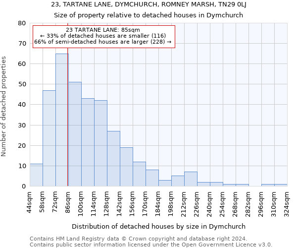 23, TARTANE LANE, DYMCHURCH, ROMNEY MARSH, TN29 0LJ: Size of property relative to detached houses in Dymchurch