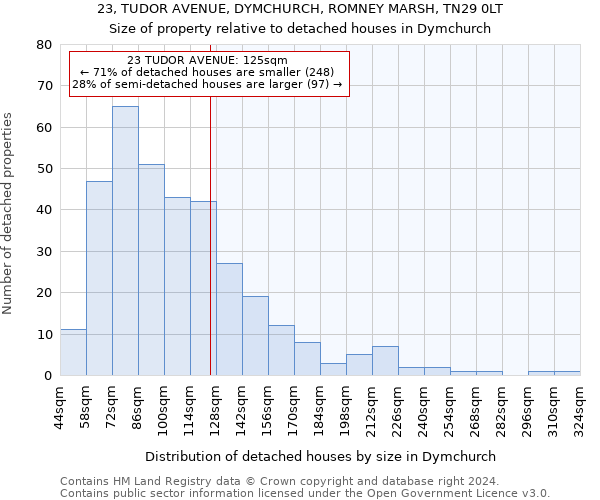 23, TUDOR AVENUE, DYMCHURCH, ROMNEY MARSH, TN29 0LT: Size of property relative to detached houses in Dymchurch