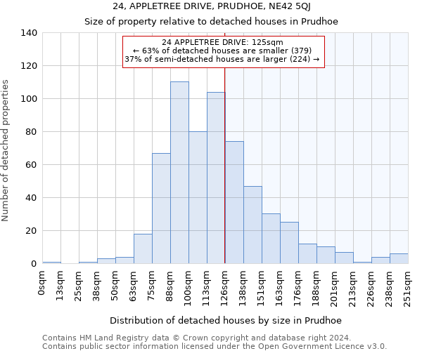 24, APPLETREE DRIVE, PRUDHOE, NE42 5QJ: Size of property relative to detached houses in Prudhoe