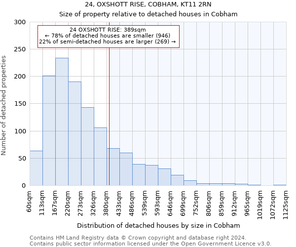24, OXSHOTT RISE, COBHAM, KT11 2RN: Size of property relative to detached houses in Cobham