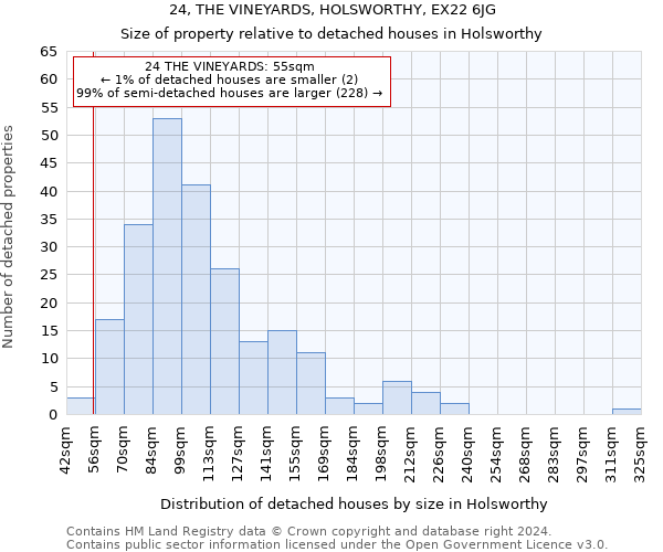 24, THE VINEYARDS, HOLSWORTHY, EX22 6JG: Size of property relative to detached houses in Holsworthy