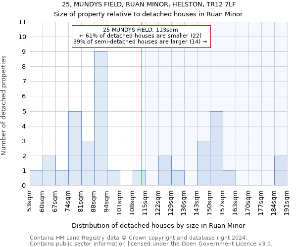 25, MUNDYS FIELD, RUAN MINOR, HELSTON, TR12 7LF: Size of property relative to detached houses in Ruan Minor