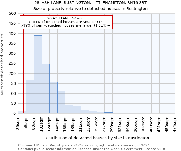 28, ASH LANE, RUSTINGTON, LITTLEHAMPTON, BN16 3BT: Size of property relative to detached houses in Rustington