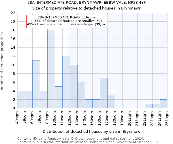 28A, INTERMEDIATE ROAD, BRYNMAWR, EBBW VALE, NP23 4SF: Size of property relative to detached houses in Brynmawr