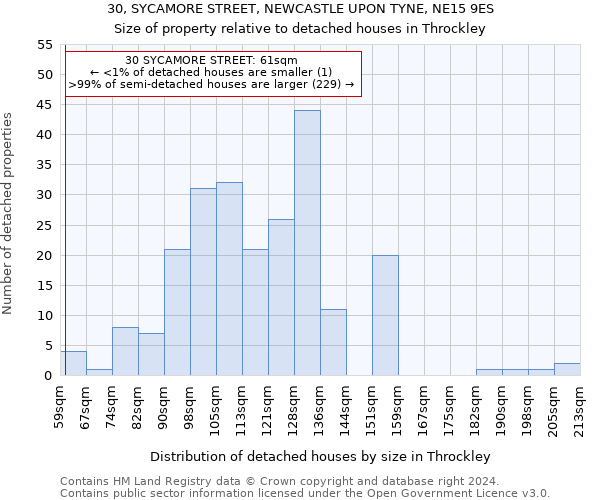 30, SYCAMORE STREET, NEWCASTLE UPON TYNE, NE15 9ES: Size of property relative to detached houses in Throckley