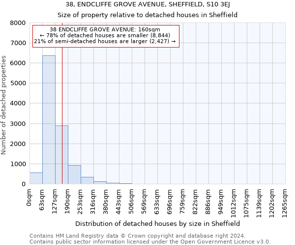 38, ENDCLIFFE GROVE AVENUE, SHEFFIELD, S10 3EJ: Size of property relative to detached houses in Sheffield