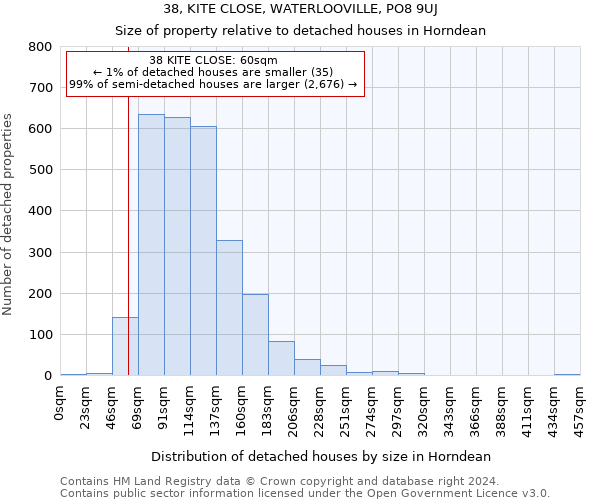 38, KITE CLOSE, WATERLOOVILLE, PO8 9UJ: Size of property relative to detached houses in Horndean