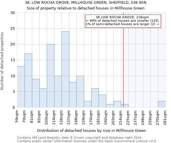 38, LOW ROCHA GROVE, MILLHOUSE GREEN, SHEFFIELD, S36 9AN: Size of property relative to detached houses in Millhouse Green