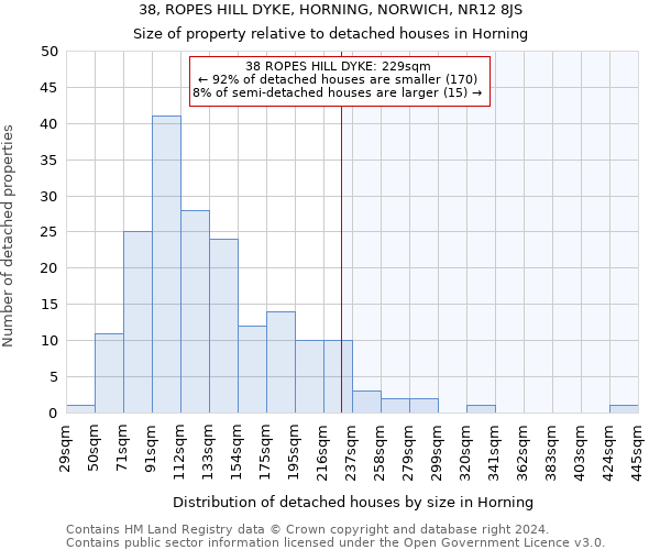 38, ROPES HILL DYKE, HORNING, NORWICH, NR12 8JS: Size of property relative to detached houses in Horning