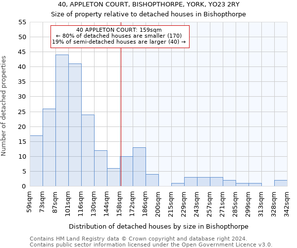 40, APPLETON COURT, BISHOPTHORPE, YORK, YO23 2RY: Size of property relative to detached houses in Bishopthorpe