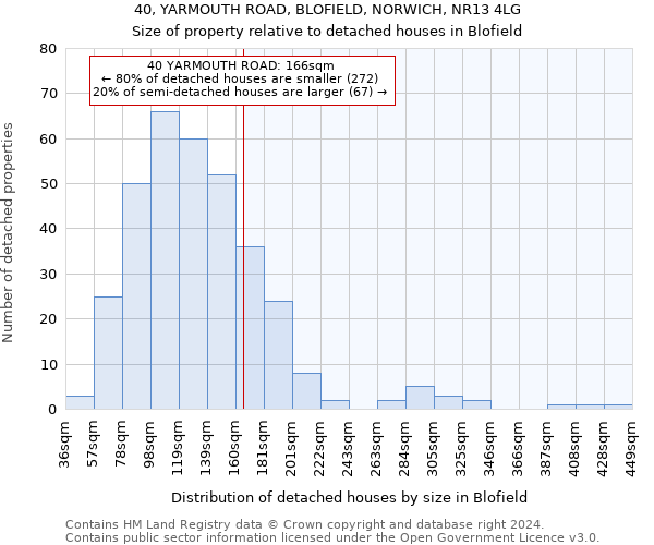 40, YARMOUTH ROAD, BLOFIELD, NORWICH, NR13 4LG: Size of property relative to detached houses in Blofield