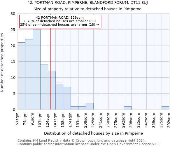 42, PORTMAN ROAD, PIMPERNE, BLANDFORD FORUM, DT11 8UJ: Size of property relative to detached houses in Pimperne