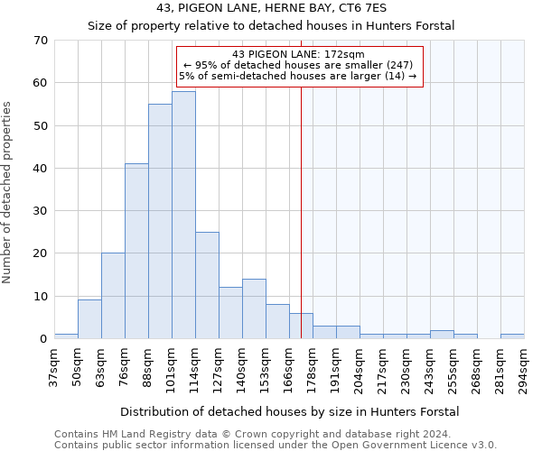 43, PIGEON LANE, HERNE BAY, CT6 7ES: Size of property relative to detached houses in Hunters Forstal