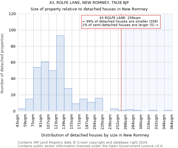 43, ROLFE LANE, NEW ROMNEY, TN28 8JP: Size of property relative to detached houses in New Romney