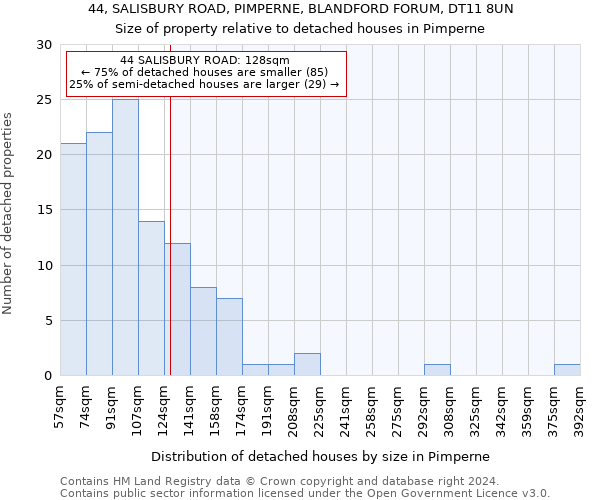 44, SALISBURY ROAD, PIMPERNE, BLANDFORD FORUM, DT11 8UN: Size of property relative to detached houses in Pimperne