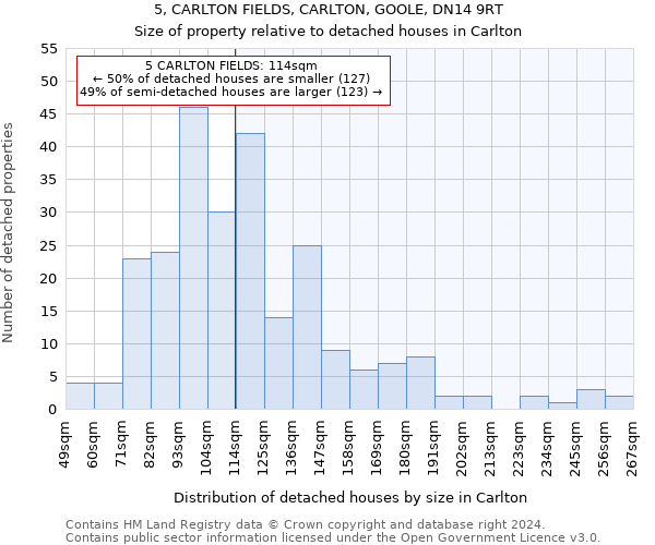 5, CARLTON FIELDS, CARLTON, GOOLE, DN14 9RT: Size of property relative to detached houses in Carlton