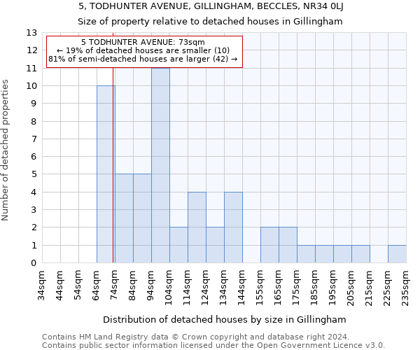 5, TODHUNTER AVENUE, GILLINGHAM, BECCLES, NR34 0LJ: Size of property relative to detached houses in Gillingham