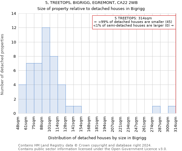 5, TREETOPS, BIGRIGG, EGREMONT, CA22 2WB: Size of property relative to detached houses in Bigrigg