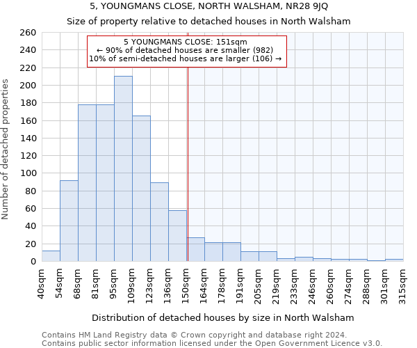 5, YOUNGMANS CLOSE, NORTH WALSHAM, NR28 9JQ: Size of property relative to detached houses in North Walsham