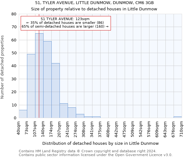 51, TYLER AVENUE, LITTLE DUNMOW, DUNMOW, CM6 3GB: Size of property relative to detached houses in Little Dunmow