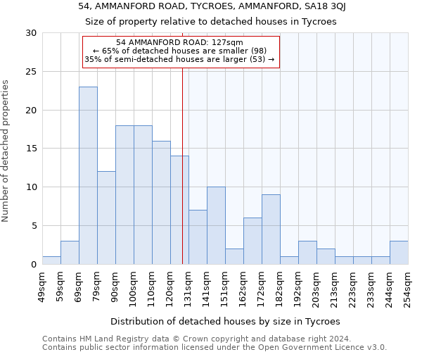 54, AMMANFORD ROAD, TYCROES, AMMANFORD, SA18 3QJ: Size of property relative to detached houses in Tycroes