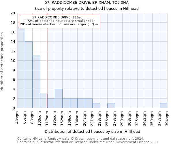 57, RADDICOMBE DRIVE, BRIXHAM, TQ5 0HA: Size of property relative to detached houses in Hillhead